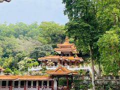 -深圳仙湖植物园
