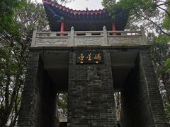 -青龙山国家森林公园