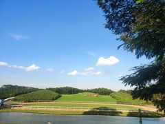 -迪茵湖田家舍生态农场