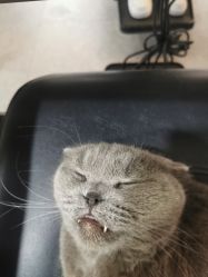 -蚂蚁造型沙龙