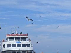 -海驴岛(荣成市)