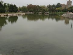 -绿岛公园(滨海新区)