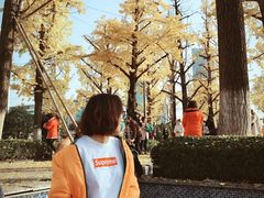 -百林公园-两江幸福广场