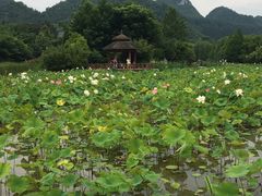 -贵阳市花溪国家城市湿地公园