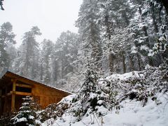 -黄龙山原始森林景区