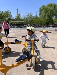 -上美四季动物农场