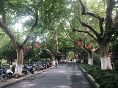 -杭州黄龙洞
