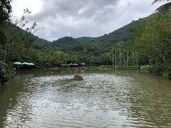 -呀诺达热带雨林