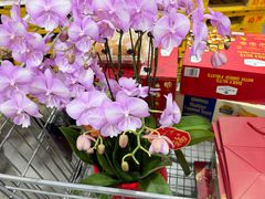 -山姆会员商店(杨桥西路店)