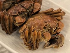 -楼外楼(西湖景区孤山路店)