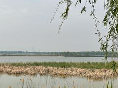 -野鸭湖国家湿地公园