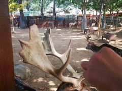 -北戴河集发农业梦想王国