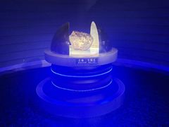 -吉林市博物馆