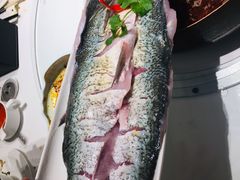 峨眉山岩团鱼-漾亚·雍雅合鲜(鹭岛店)