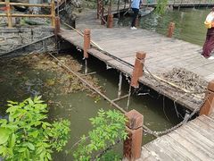 -白洋淀景区