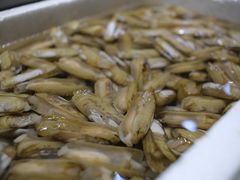 -揭阳钟记小食(福田新村店)