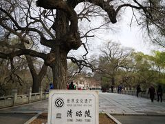 -北陵公园