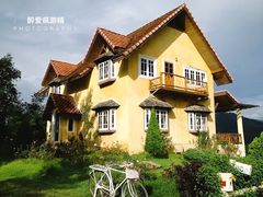-黄色小屋