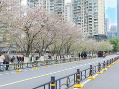 -西北湖绿化广场
