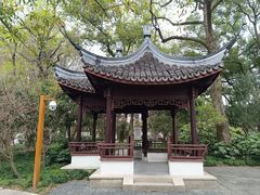-上海醉白池公园