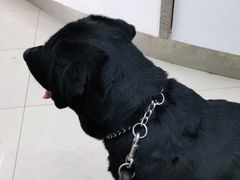 -爱侣宠医·鹦鹉专科·小型哺乳类·异宠专科(灵石路店)