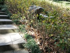 -杭州半山国家森林公园