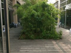 -汕头大学-图书馆
