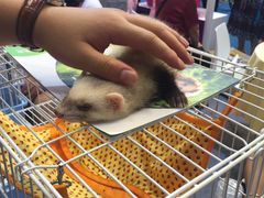 -东浩兰生上海世博展览馆