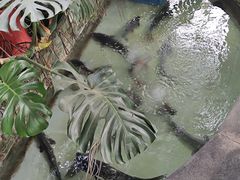 -燕北云山·农家菜·灶台鱼(密云溪翁庄店)