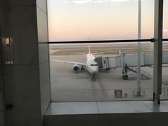-东营胜利机场