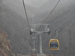 -栾川竹海野生动物园