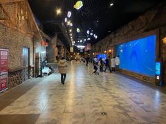 -华夏文旅海洋公园