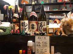 -金龙咖喱