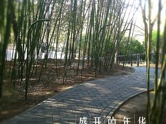 -紫竹院公园冰场