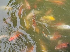 -珠海圆明新园
