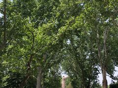 -山东师范大学(千佛山校区)