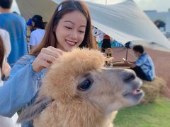 -Blue Concept Cafe&Farm·關於藍