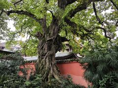 -三苏祠