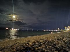 -芽庄喜来登水疗酒店