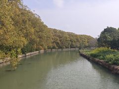 -同里国家湿地公园