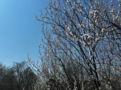 -莫子山公园