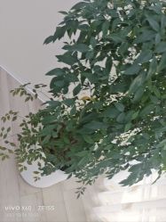 -HEYAN荷妍专业脱毛连锁机构