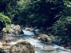 -西岭雪山大飞水景区
