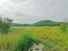 -平湖九龙山旅游度假区