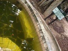 -龙达温泉生态城