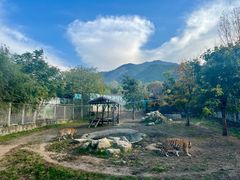 -西安秦岭野生动物园