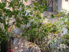 -植物学家的女儿(北马道巷店)