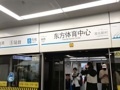 -东方体育中心(地铁站)