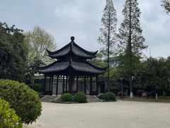 -泰州凤城河风景区-泰山公园