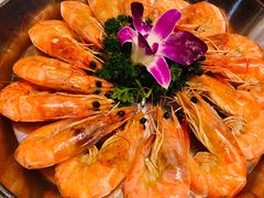 白灼虾-必点海鲜·鲅鱼水饺(鞍山西道店)